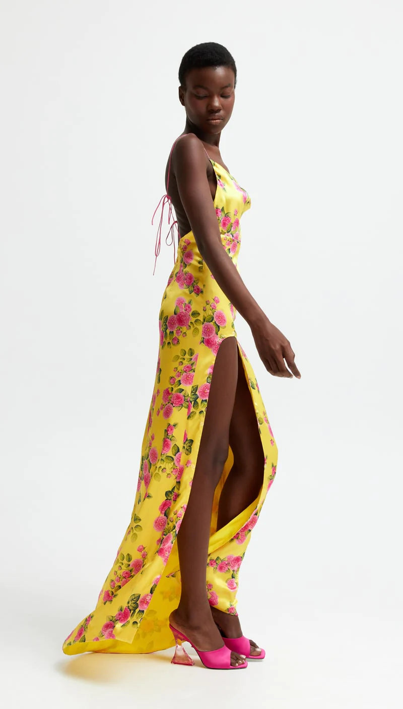 Zara top bird dress